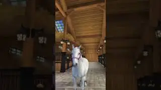 #sso #starstablechallenge star stable challenge