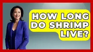 How Long Do Shrimp Live? - The Marine Life Explorer