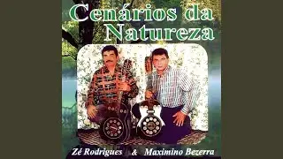 Mourão agalopado