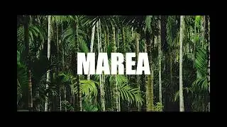 Wizkid x Drake Type Beat - 
