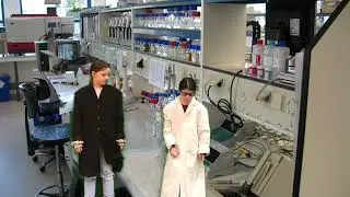 Willem Wever Zwaartekracht