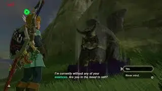 What Happens if you try to Sell a Heart Container when you only have 3 Heart Containers