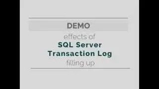 Effects of a Full SQL Server Transaction Log