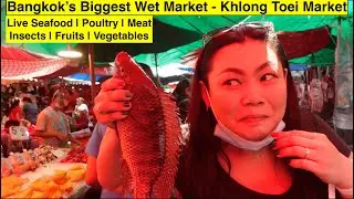 Alive seafood | Exploring Bangkok&rsquo;s Wet Market | Khlong Toei Market | poultry | fruits | vegetables