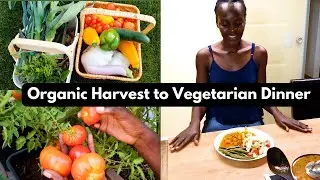 Cooking Vlog | Dinner From the Garden | Vegetarian Recipes | Farm-to -Table Vlog| Home-made Sauce