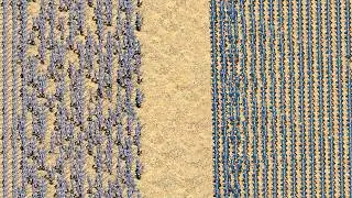 1000 Swordsmen vs 1000 Arabian - Swordsmen Stronghold Crusader Definitive Edition
