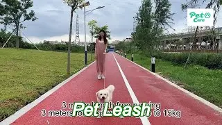retractable personalized dog leash 360&deg; tangle free pet leash with light