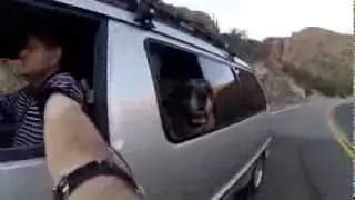 85Van