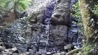 Blue Mountains Walks: The Waterfall Track Mt Wilson NSW Australia