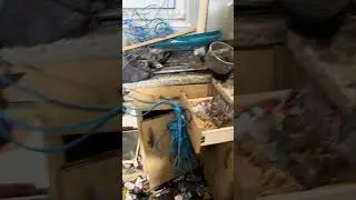 Biohazard eviction clean #biohazard #property