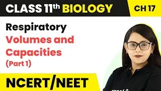 Respiratory Volumes and Capacities (Part-1) | Class 11 Biology/NEET-AIIMS