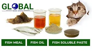 Fish Meal & Fish Oil Processing Plant | Global Marine Exports | Pet Food&nbsp;Manufacturer