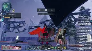 参加型　PSO2NGS周回配信　Ship5