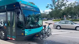 Palm Tran: 2016 40ft Gillig BRT Plus #1602 On Route 3 @ Town Center Mall