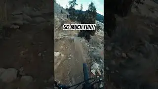 Best of the front range? #mtb #mountainbiking #colorado #downhillmtb