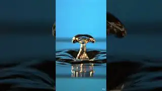 &ldquo;Honey Drips + Water Ripple Pops | Deeply Satisfying ASMR Macro (4K)&rdquo;