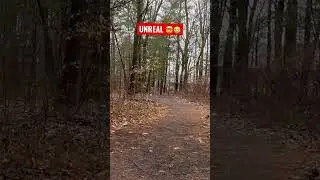 The &ldquo;Let&rsquo;s Gooo&rdquo;! at the end 😂 #discgolf #shorts