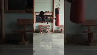 Performing Different Types of Martial Arts Fight Techniques (Recreating Prt 31) #martialarts #shorts