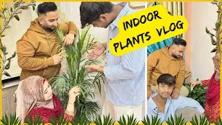 My Indoor Plant Collection | Best Plants for Home Decoration😍❤️