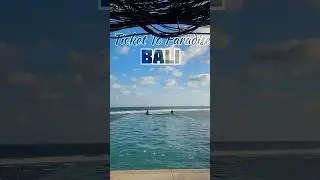 Bali Insights 🥂 | Travel Blogs | #travel #bali #nature