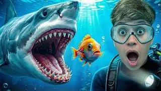 COMENDO PEIXES PARA VIRAR O MAIOR TUBARÃO DO ROBLOX!! 🦈
