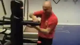 Sifu Thomas Braun