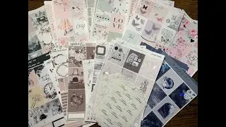 Black Friday Sticker Haul Pt. 1.5 || ft. Bloom Paper Studio, PaperMuseCrafts & more!