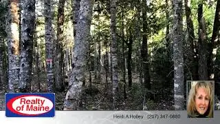 Lots And Land for sale - xxx Ridge Road, Robbinston, ME 04671