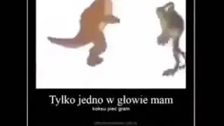 tylko jedno glowie mam koksu piech Gram