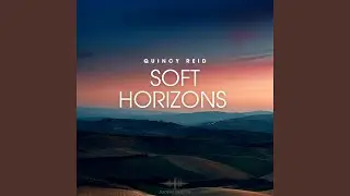 Soft Horizons