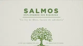(En vivo) La ley de Dios, fuente de sabidur&iacute;a