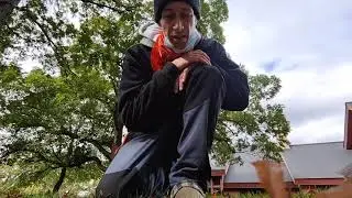 Tree climbing at Thompson Park in St. Paul, MN