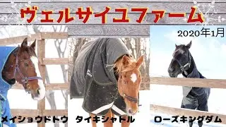 【ヴェルサイユファーム】ローズキングダム　タイキシャトル　メイショウドトウ、ヒルノダムール　アドマイヤジャパン　スカーレットレディーなどが登場