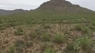 Tucson Mountain Park (DJI Phantom 3)