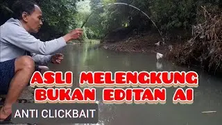 Di Dalam Spot Yang Berarus Terdapat Ikan-ikan Nilem Yang Sehat dan Rakus