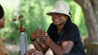 Black Food Sovereignty: A Harvest for the Future