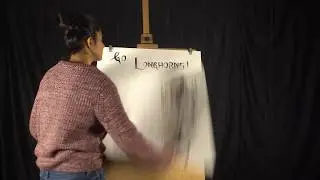 Roshni Das Introduction- UT AUSTIN MSITM Program