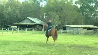 oxer.AVI