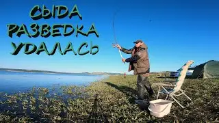 ПРОБНАЯ РЫБАЛКА НА САЗАНА  | КВХ СЫДА