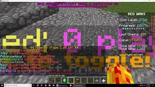 I got muted on Hypixel...