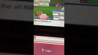 Shiny Murkrow in the Eterna Forest! Pok&eacute;mon Diamond