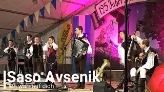 Saso Avsenik - Ich wart auf dich