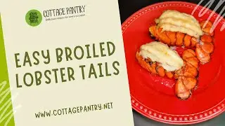 Easy Broiled Lobster Tails