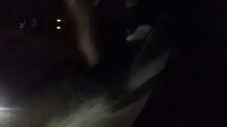 Native trenchboarding
