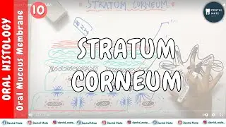 Stratum Corneum | OMM | Dr Paridhi Agrawal