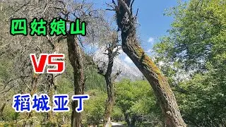 如果只有一次旅游，稻城亚丁和四姑娘山你会选哪个？
