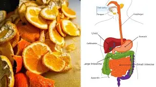 Boost immunity and Improve digestion with this