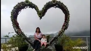 DarJane&rsquo;s Garden