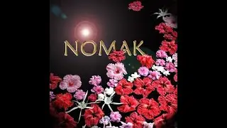 Nomak - Combine (Full Unreleased Album - 2005)