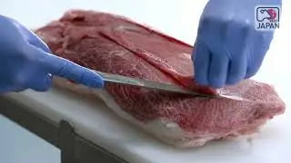 Japanese Wagyu Beef Cutting Guide_Shoulder clod